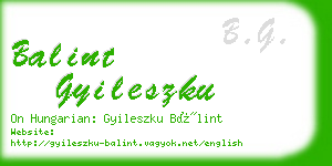 balint gyileszku business card